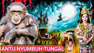 Antu Nyumbuh Tunggal [upl. by Peri]