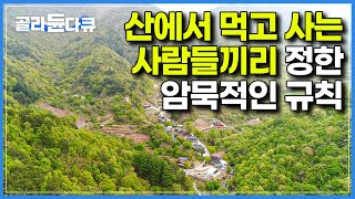 주민만 채취 허가증이 주어진다｜먹을게 지천으로 가득한 산골짜기 마을에서 안 싸우고 딱 본인 몫 적당히 챙겨가는 방법｜한국기행｜골라듄다큐 [upl. by Sheng]