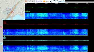 Earthquakes at SvartsengiGrindavík Iceland Live data from Melhóll seismic station at Hagafell [upl. by Verney626]