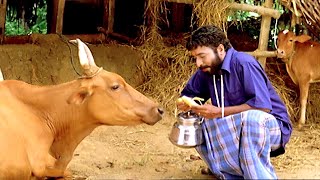 ഹരിശ്രീ അശോകൻ ചേട്ടന്റെ പഴയകാല കോമഡി സീൻ  Harisree Ashokan Comedy Scenes  Malayalam Comedy Scenes [upl. by Adnimra]