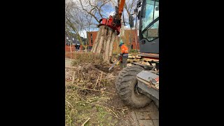 Het opruimen van omgewaaide bomen door de stormschade Eunice [upl. by Eltsryk]