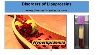 Lipoprotein Disorders  Hyperlipidemia Biochemistry  Dyslipoproteinemias [upl. by Laurent]