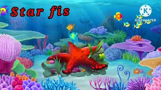 Ocean animals water animals namesea animals in Englishcute sea animalsAquatic animals name [upl. by Crean]