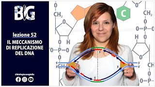 Il MECCANISMO di REPLICAZIONE del DNA [upl. by Enitnemelc188]