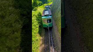 Somewhere in Drachenfels Germany europe travel germany [upl. by Alejandrina]