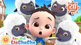 Mi Ovejita Bee Bee  Canción de Sonidos de Animales  LiaChaCha en Español  Canciones Infantiles [upl. by Nerhe]