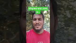 বন্ধু কাজল ভ্রমরা রে popular bangla song vatialisongbengali 🌺 [upl. by Lichtenfeld]