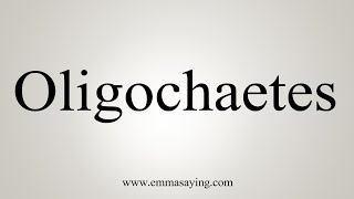 How To Say Oligochaetes [upl. by Kristofer]