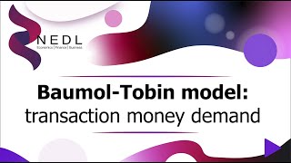 BaumolTobin model explained transaction money demand Excel [upl. by Lairea]