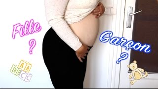 Vlog Grossesse n°2   Garcon ou Fille  🍼 [upl. by Sergent817]