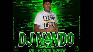 Dj Nando Eletrizante  Tecno Funk Vai Dar Pet 2017 [upl. by Marika924]