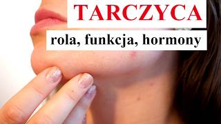 TARCZYCA  jak DZIAŁA jakie FUNKCJE jaka ROLA hormony [upl. by Nodanrb]