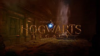 Hogwarts Legacy I ENCONTRE ROLANDO AOKE I MODO FRS 2 I PC RTX 3060hogwartslegacy VÍDEO SEM EDIÇÃO [upl. by Jackqueline]