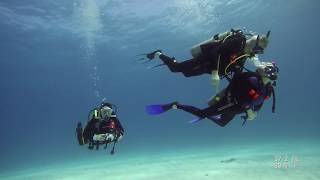 2019 Nov Ajax Scuba Club Diving in Cayman Brac with Paralenz Underwater Camera [upl. by Enilrae]