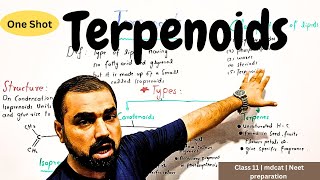 Terpenoids  one shot  Classification of lipid  in Urdu hindi medium [upl. by Greggory]