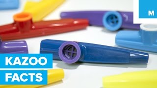 Why the Kazoo is Americas Secret Musical Weapon [upl. by Rondon]