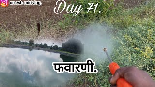 फवारणी Day 71Goshtigavakadchya3 [upl. by Rafaellle]