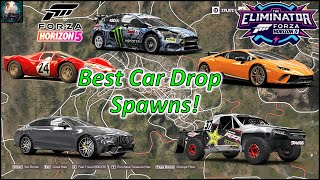 The BEST Eliminator Car Drop Locations  Forza Horizon 5 [upl. by Nelon246]