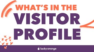 Visitor Profile Quick Tour  Lucky Orange Tips amp Tricks [upl. by Reseda]