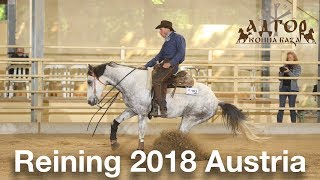 Reining Competition 2018 Austria [upl. by Bertina]