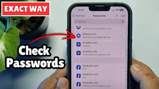 How To Check Passwords On iPhone ALL WAY [upl. by Sascha872]