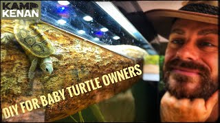 Build a Starter Tank for Baby Turtles amp Terrapin kamp kenan [upl. by Feinstein]