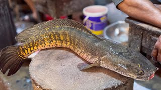 Incredible Bog Sola Fish Cutting Skills Live In Fish Market Bangladesh  Fish Cutting BD [upl. by Annoik]