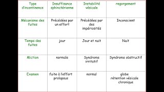 Sémiologie clinique de lappareil urinaire [upl. by Lerim]