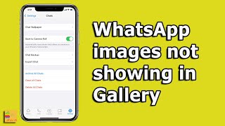 WhatsApp images not showing in gallery of android device  How to Fix it [upl. by Firehs717]