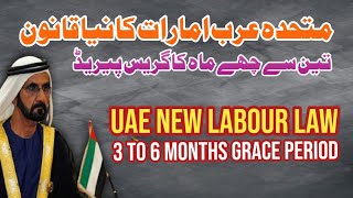 UAE New Labour Law 3 To 6 Months Grace Period [upl. by Dagmar676]