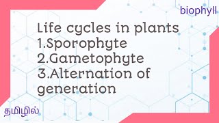 Life cycle in plants  1Sporophyte 2Gametophyte 3Alternation of generation [upl. by Mohl]