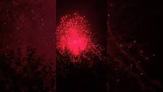 Crack the Sky Shot Like a Champion vlog minivlog skyshot firecrackers diwali [upl. by Aliekat]