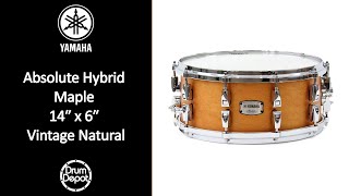 Yamaha Absolute Hybrid Maple 14x6 Snare Drum Demo [upl. by Rexford]