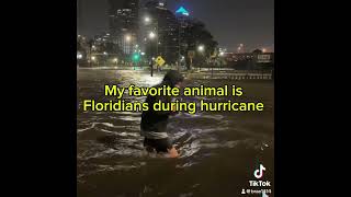 capcut florida floridahurricane Floridians foryou capcutedit edit ￼ [upl. by Haidabo]