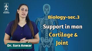 Biologysec3  Support in man Cartilage amp Joint [upl. by Linden]