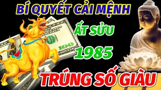 TÌM RA BÍ QUYẾT CẢI MỆNH ĐỔI VẬN GIÚP TUỔI ẤT SỬU 1985 SAU 40 TUỔI NỔ LỘC LỚN TRÚNG SỐ ĐỔI ĐỜI GIÀU [upl. by Sower57]