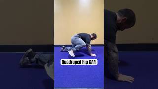 How to Perform a Quadruped Hip CAR [upl. by Parshall358]