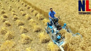 Cool and Powerful Agriculture Machines That Are On Another Level Part 19 [upl. by Alia395]