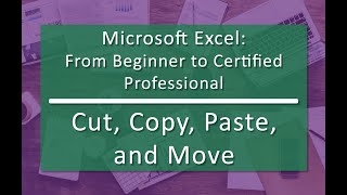 Cut Copy Paste and Move 0303  Microsoft Excel From Beginner to Certified Professional [upl. by Shultz868]