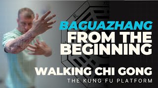 BAGUAZHANG Circle Walking Chi Gong and the 64 postures [upl. by Trudey867]