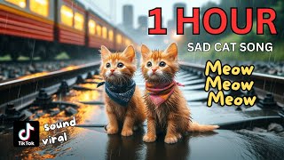 Meow Meow Meow Sad Song 1 Hour Compilation cat cute catlover cutecat aicat meow [upl. by Stanislaus]