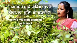 नआवनो माबोरै आबादनि एम्फौ होखारनाय मुलि बानायनो  How to Make Biopesticide at Home  in Bodo [upl. by Dickie]