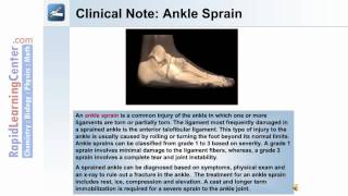 The Skeletal System 2  What are the Bones of the Lower Extremity [upl. by Viens]