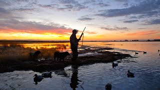 Absolute nonsense Indigenous Australians set to be exempt from duck hunting ban [upl. by Wilone992]