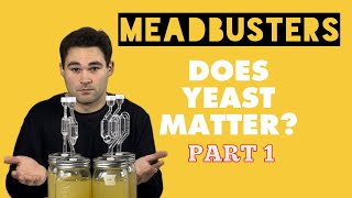 MEADBUSTERS DOES YEAST TYPE MATTER PART 1 [upl. by Wells]