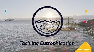 Tackling Eutrophication [upl. by Netsyrc775]