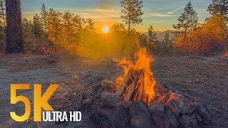 Peaceful Campfire at Sunrise  5K Nature Relaxation Video with Crackling Fire Sounds [upl. by Nnel69]