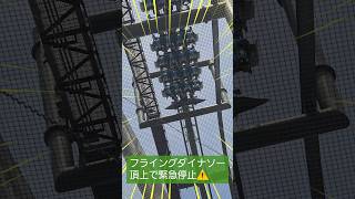 フライングダイナソー緊急停止🦖⚠️シングルライダーで乗りに行ったかいしょうは無事？！ USJ フライングダイナソー [upl. by Lyrem]