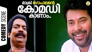 മാക്രി ഗോപാലന്റെ കോമഡി കാണാം  Chattambinadu Comedy Scene  Salimkumar Comedy  Suraj Venjaramoodu [upl. by Otrebogad140]