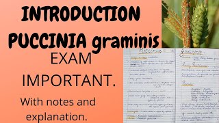 INTRODUCTIONPUCCINIA GRAMINISFull explanation with notes bscbotany [upl. by Ttehr]